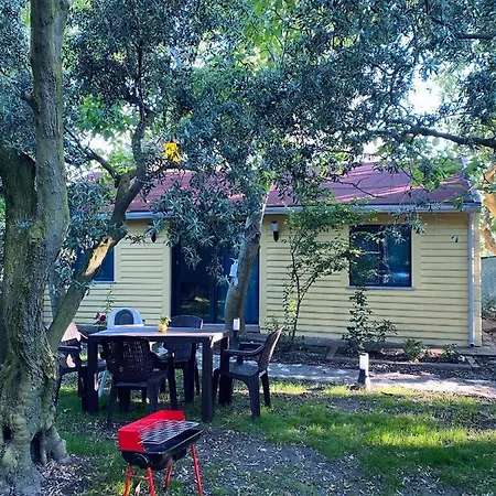 Garden House Erdek Appartement *